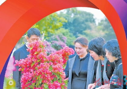 1575963095305914.png image.png